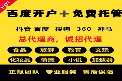 Sem优化公司案例：打造高效广告投放策略